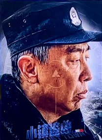 显卡插上显示器没反应